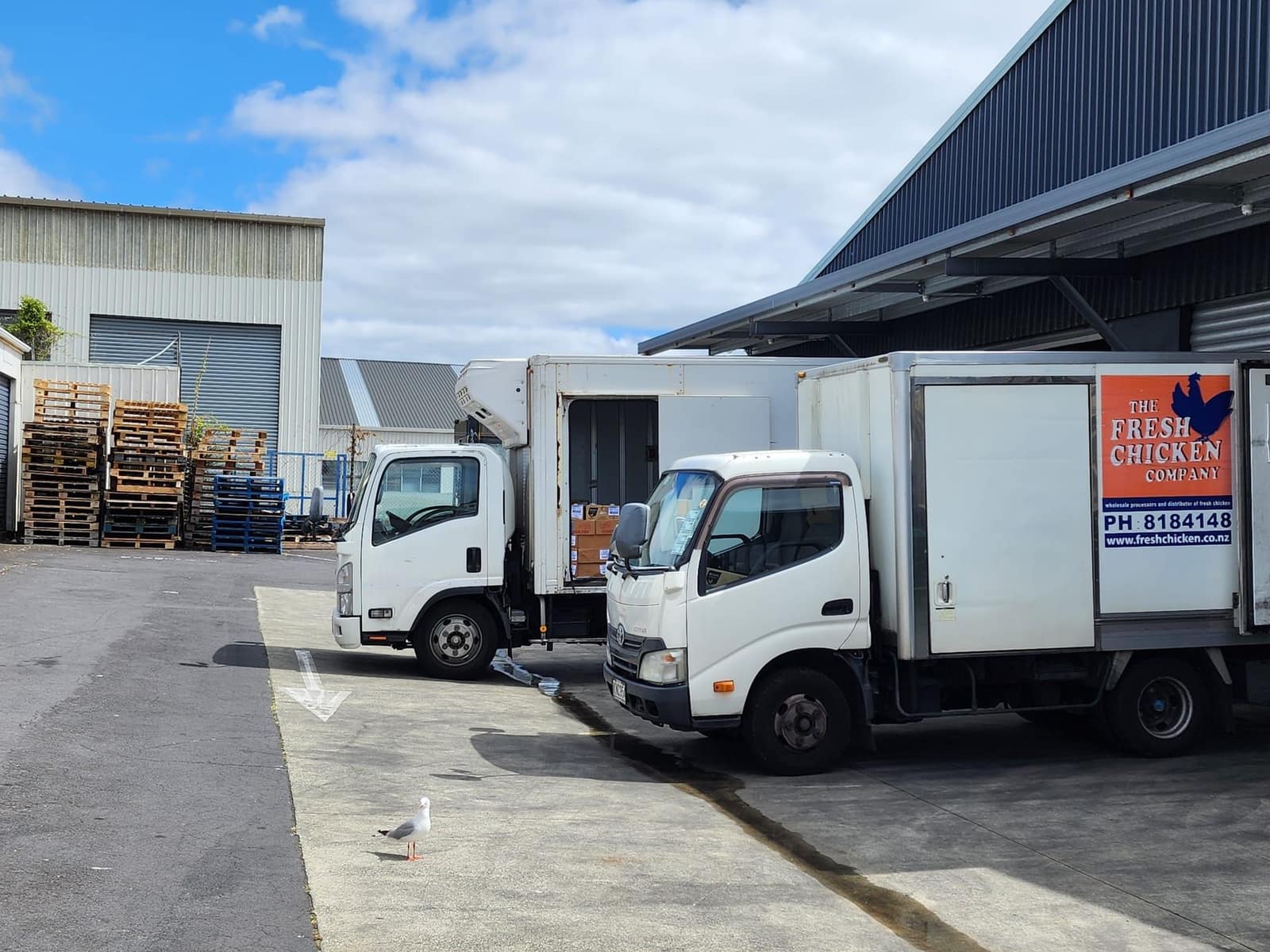 Our Own Trucks, Across Auckland